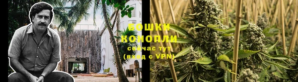 марихуана Баксан