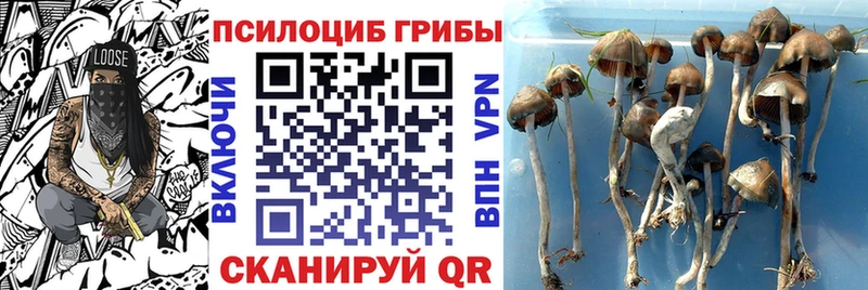 Галлюциногенные грибы ЛСД  купить наркотики цена  Удачный 